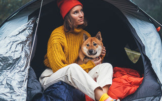 Camping with dogs