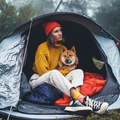 Camping with dogs