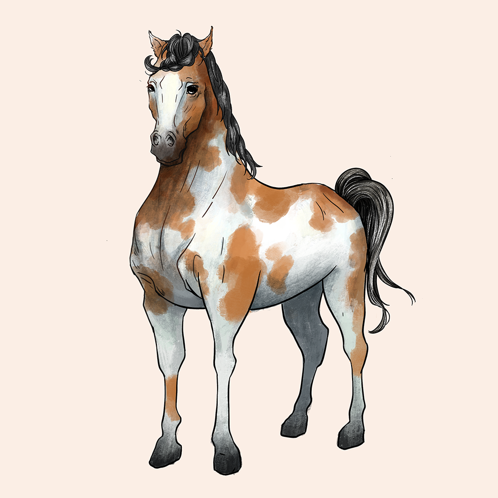 Gifts For Horse Lovers