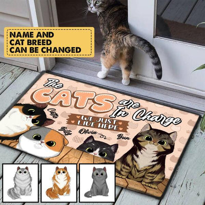 The Cats Are In Charge - Personalized Doormat