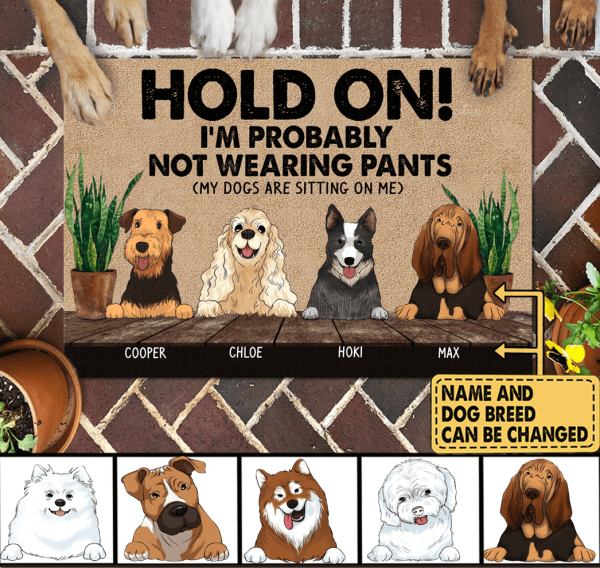 Funny Dog Doormat, Hold On I Probably Not Wearning Pants - Personalized Doormat