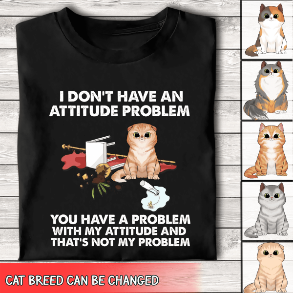 I Dont't Have An Attitude Problem - Personalized T-Shirt