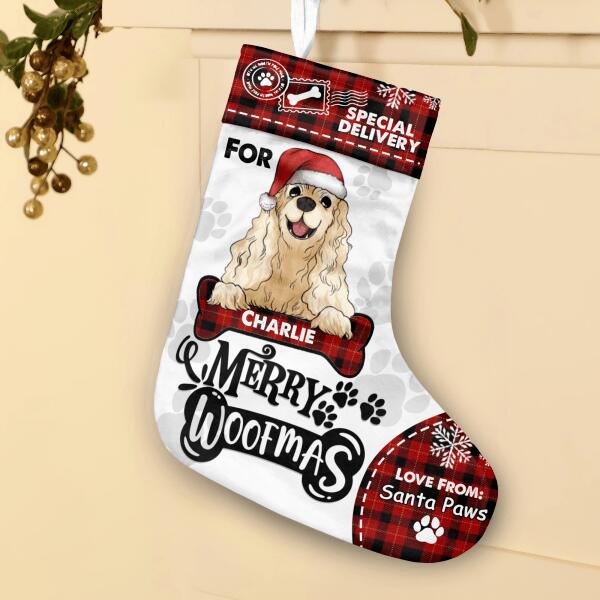 Special Delivery, Love From Santa Paws, Personalized Christmas Stockings, Gift For Dog Lovers