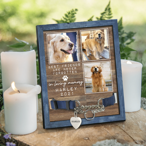 Best Friend Are Never Forgotten In Loving Memory, Personalized Pet Loss Memorial Sign, Custom Photo Sign