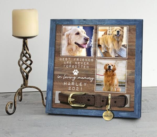 Best Friend Are Never Forgotten In Loving Memory, Personalized Pet Loss Memorial Sign, Custom Photo Sign