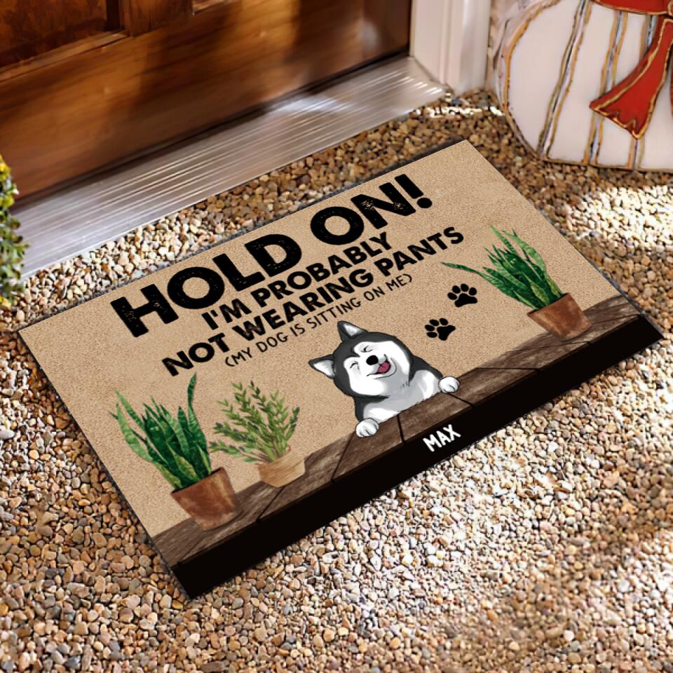 Funny Dog Doormat, Hold On I Probably Not Wearning Pants - Personalized Doormat