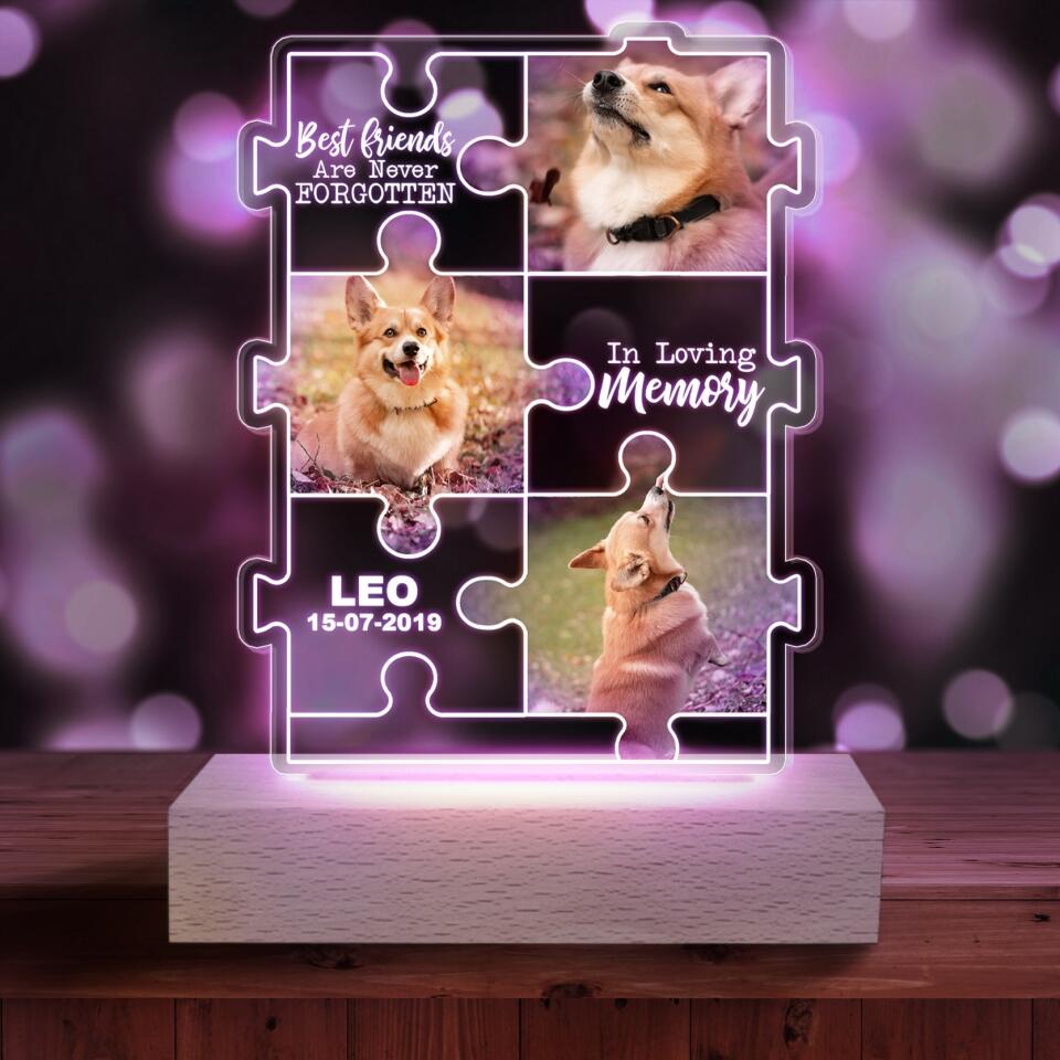 Best Friends Are Never Forgotten . In Loving Memory - Personalized Acrylic Lamp