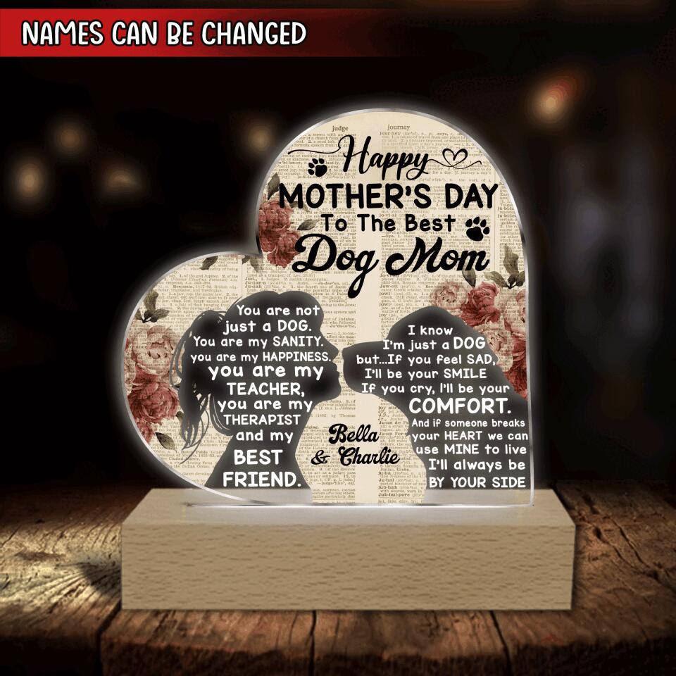 Happy Mother’s Day To The Best Dog Mom - Personalized Acrylic Lamp