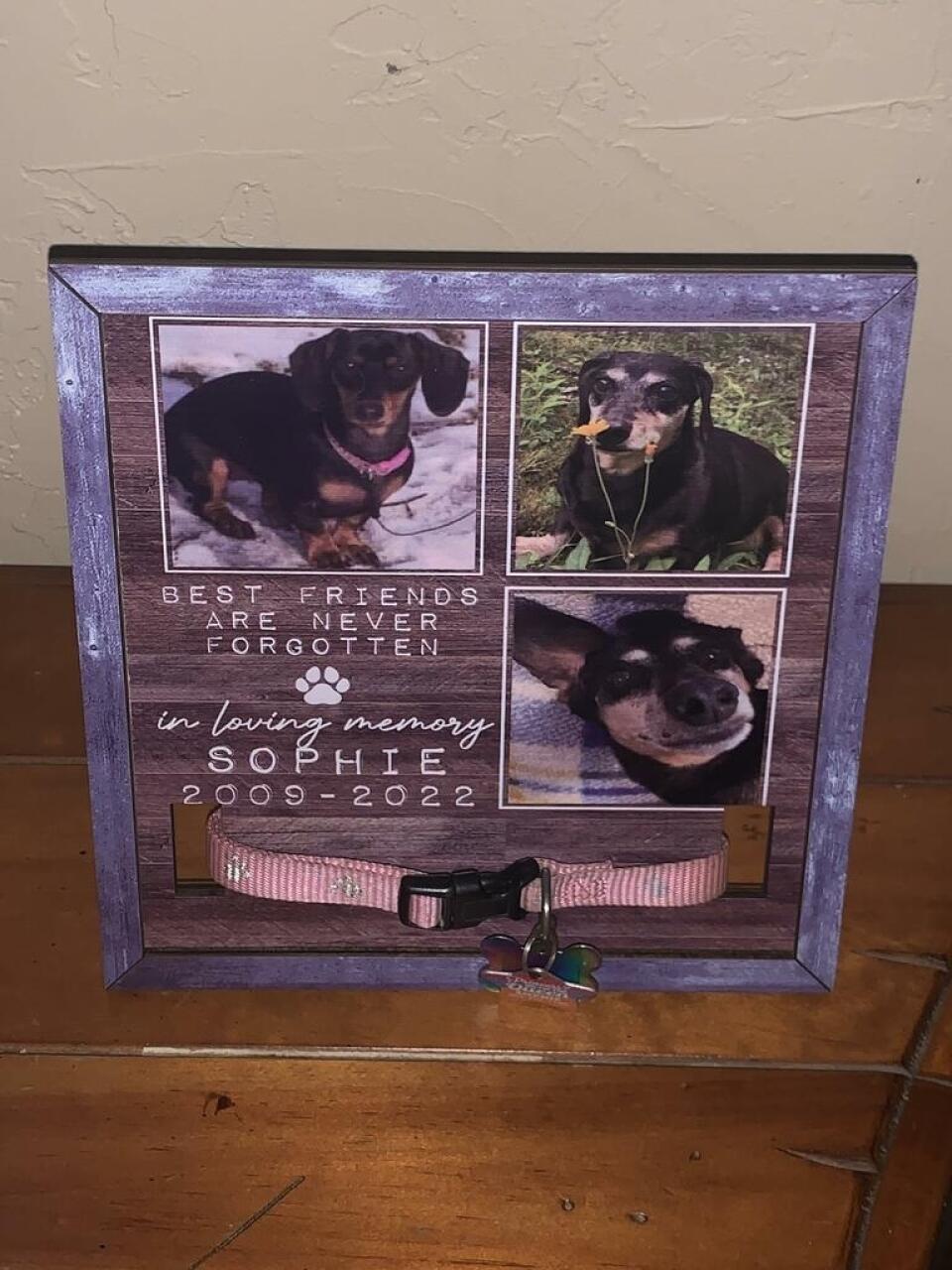 Best Friend Are Never Forgotten In Loving Memory, Personalized Pet Loss Memorial Sign, Custom Photo Sign