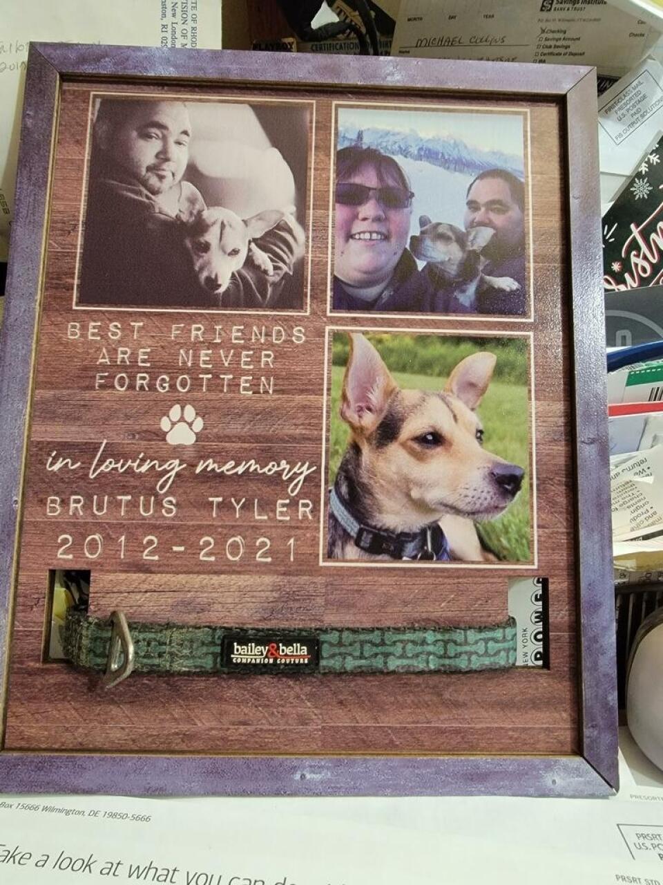 Best Friend Are Never Forgotten In Loving Memory, Personalized Pet Loss Memorial Sign, Custom Photo Sign