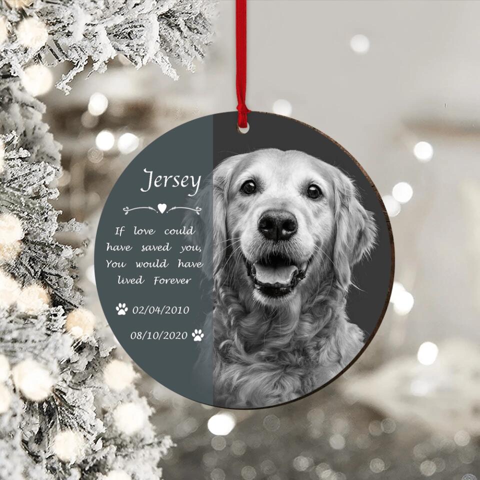 Pet Memorial Photo - Personalized Christmas Ornament