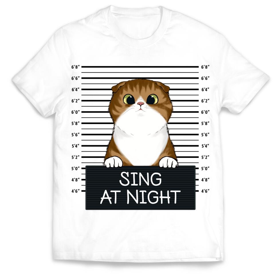 Sing At Night Custom T-shirt For Cat Lovers