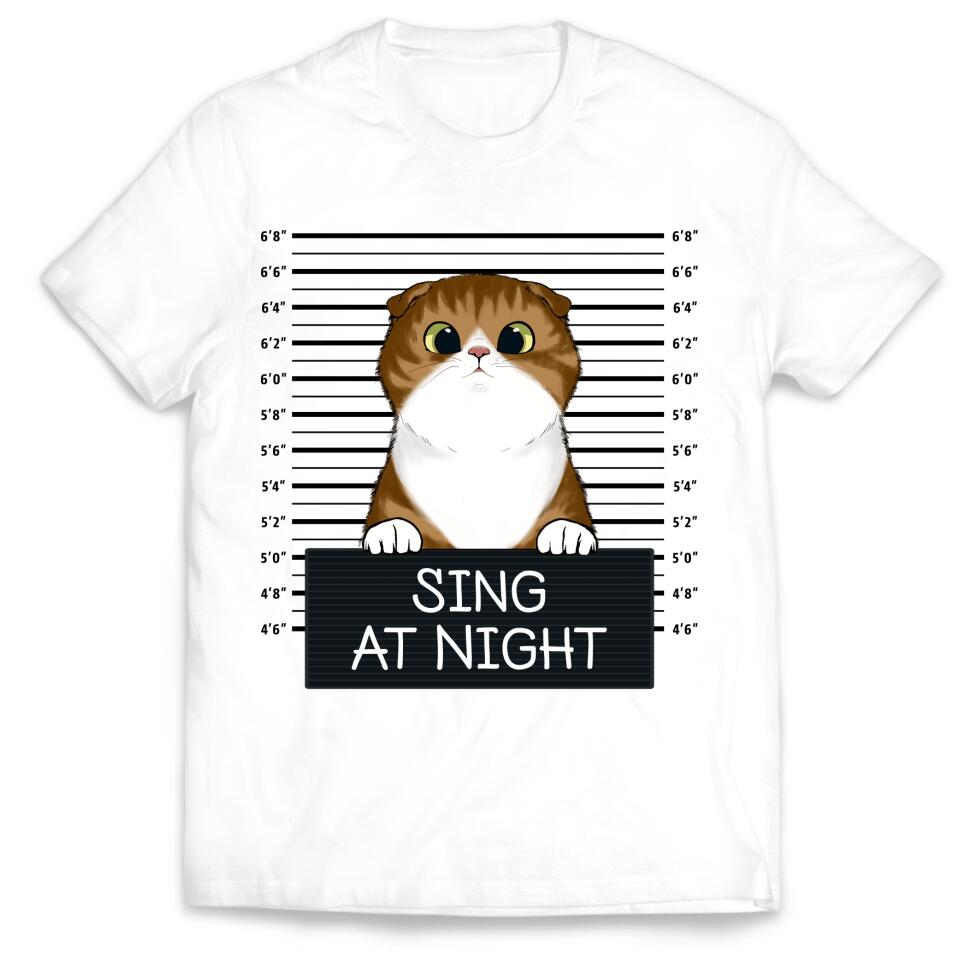 Sing At Night Custom T-shirt For Cat Lovers
