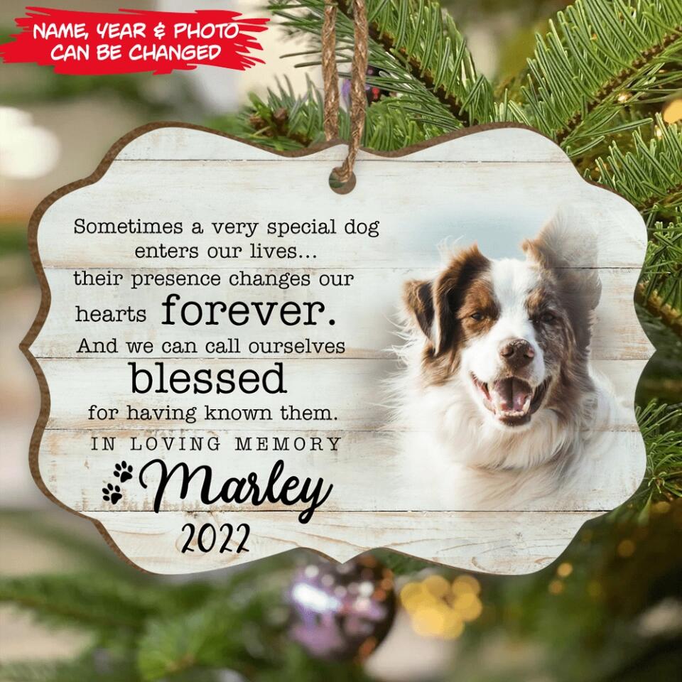 Sometimes A Very Special Dog Enters Our Lives- Personalized Dog Christmas Ornament