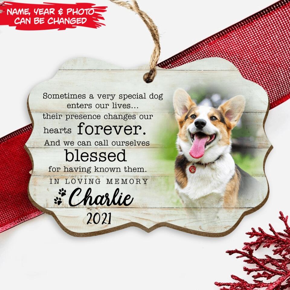 Sometimes A Very Special Dog Enters Our Lives- Personalized Dog Christmas Ornament