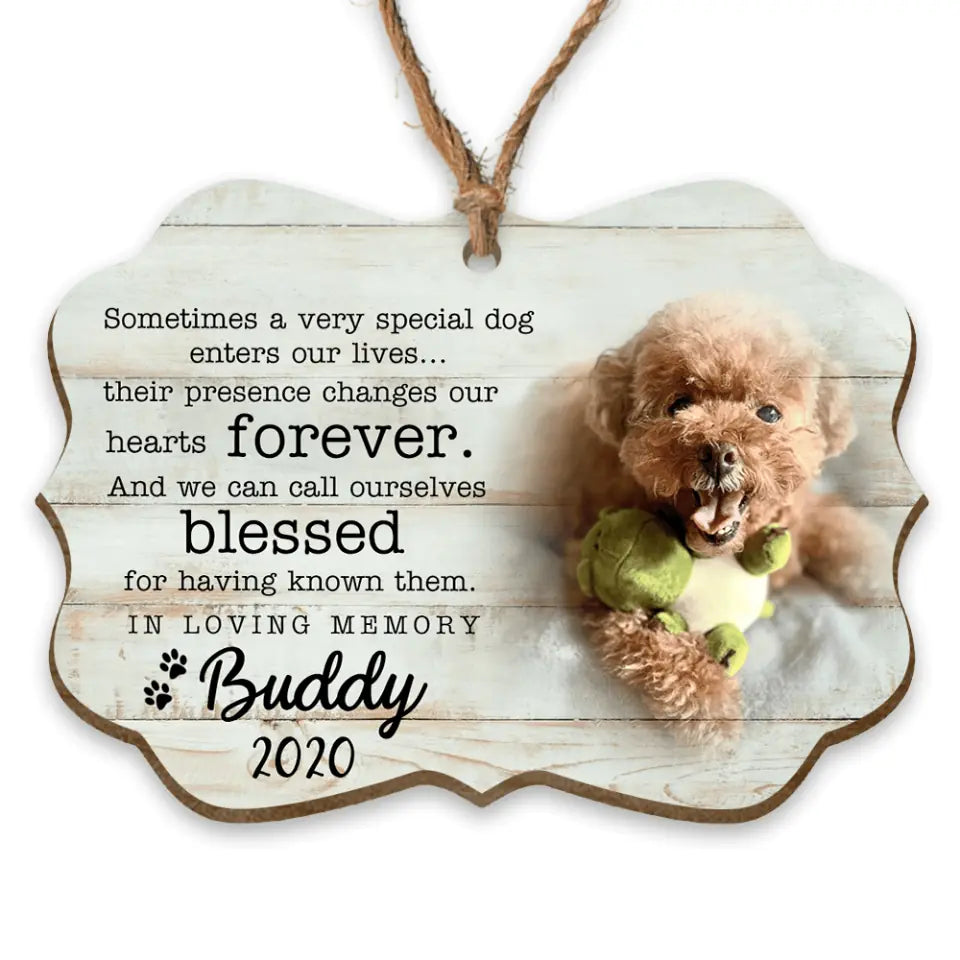 Sometimes A Very Special Dog Enters Our Lives- Personalized Dog Christmas Ornament