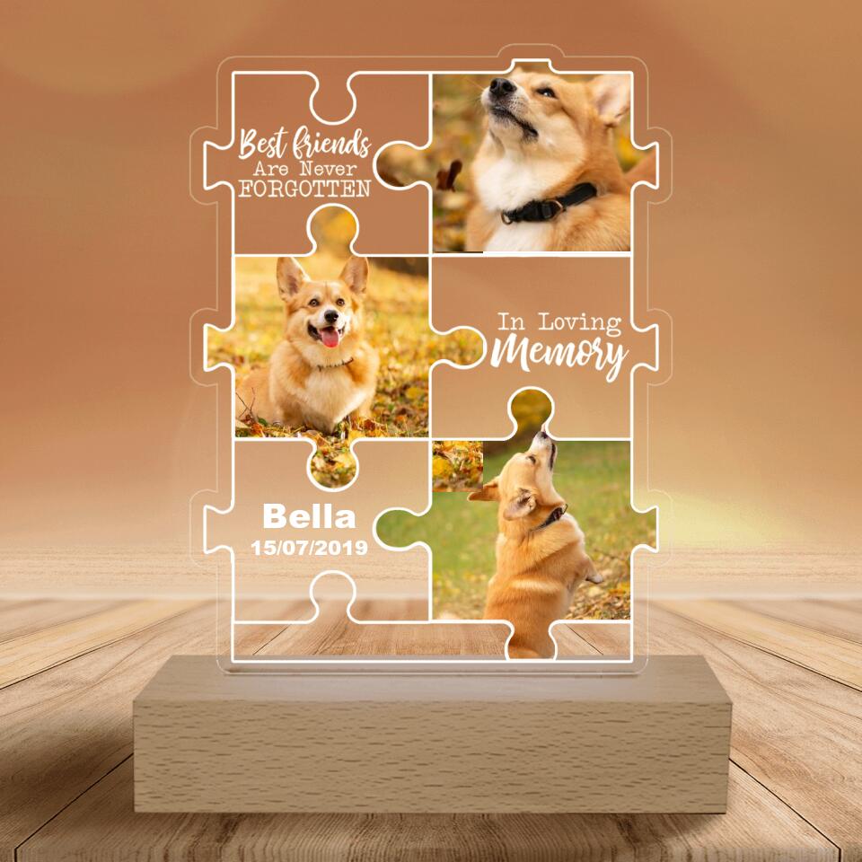 Best Friends Are Never Forgotten . In Loving Memory - Personalized Acrylic Lamp