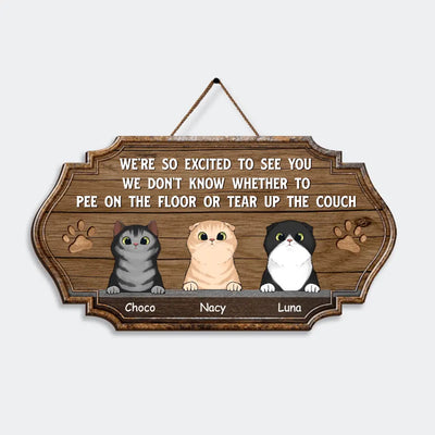 We Are So Excited Cat Sign - Personalized Door Sign