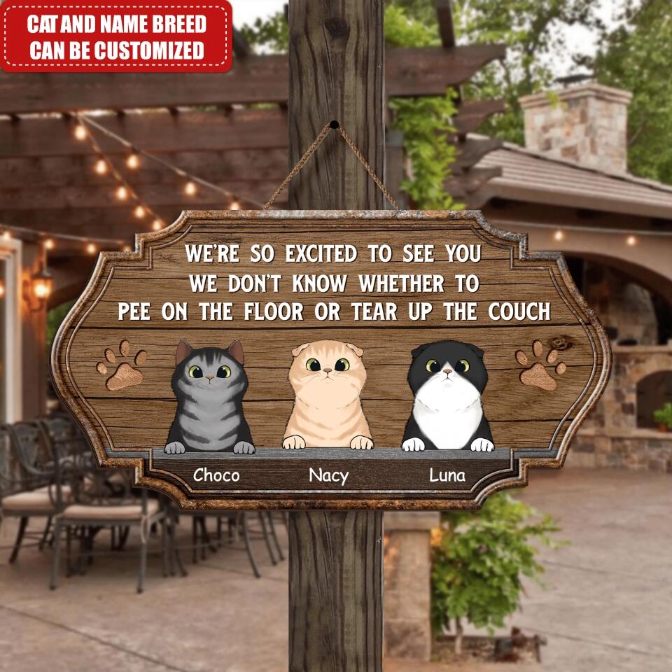 We Are So Excited Cat Sign - Personalized Door Sign
