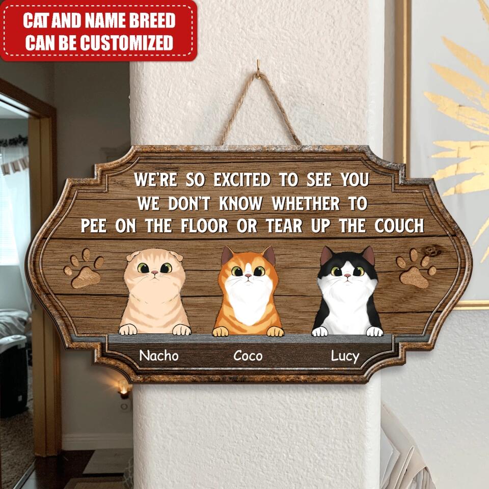 We Are So Excited Cat Sign - Personalized Door Sign