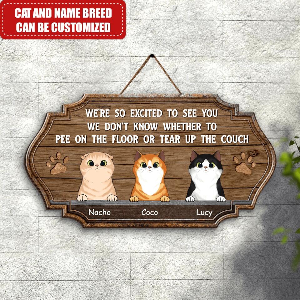 We Are So Excited Cat Sign - Personalized Door Sign