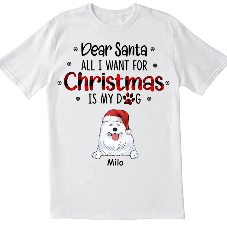 I Believe In Santa Paws - Personalized T-shirt, Gift For Dog Lover