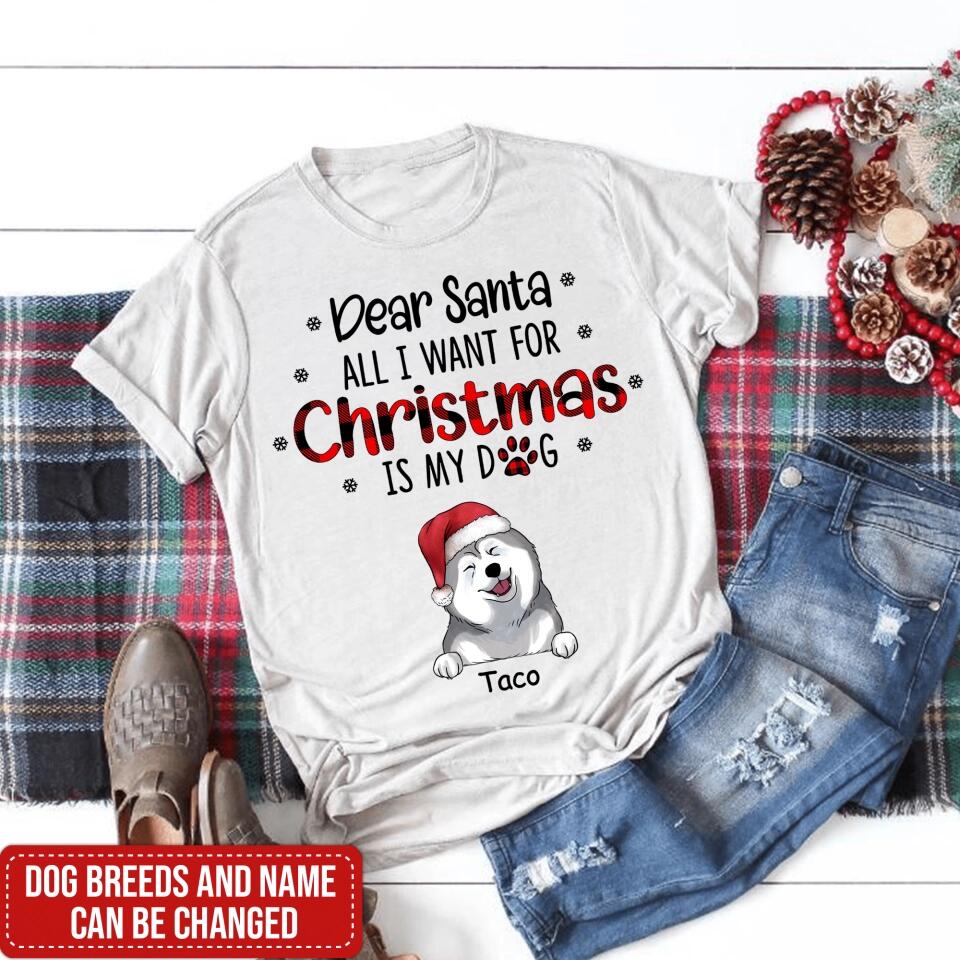 I Believe In Santa Paws - Personalized T-shirt, Gift For Dog Lover