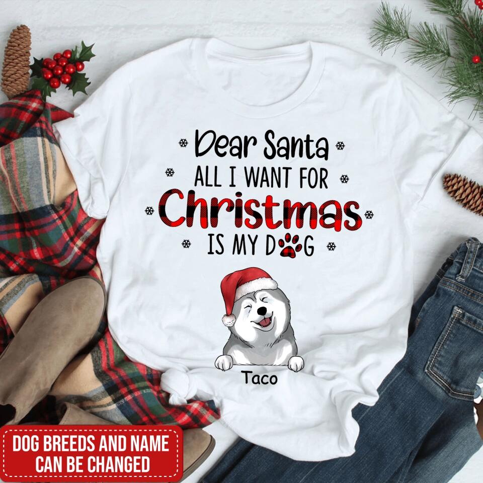 I Believe In Santa Paws - Personalized T-shirt, Gift For Dog Lover