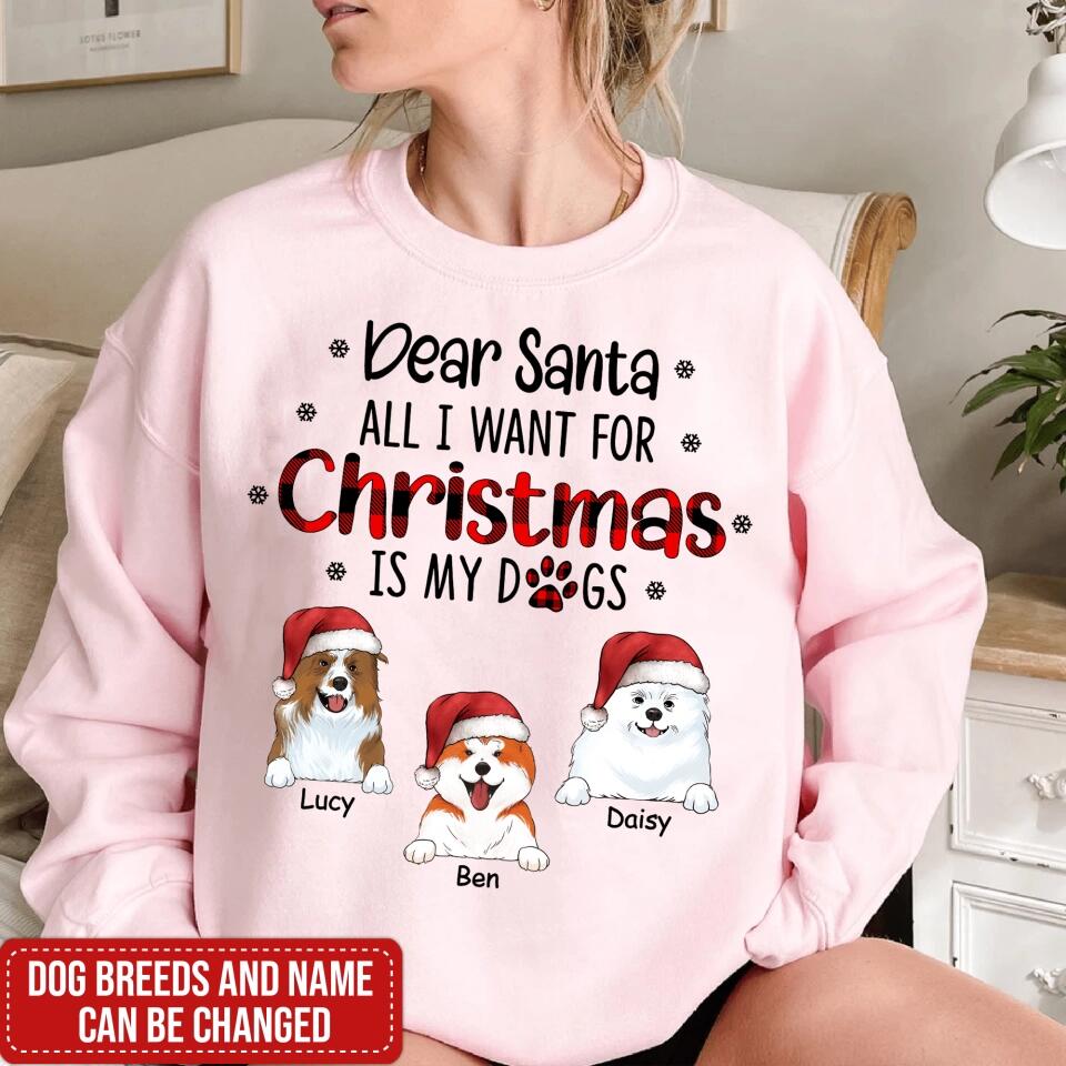 I Believe In Santa Paws - Personalized T-shirt, Gift For Dog Lover