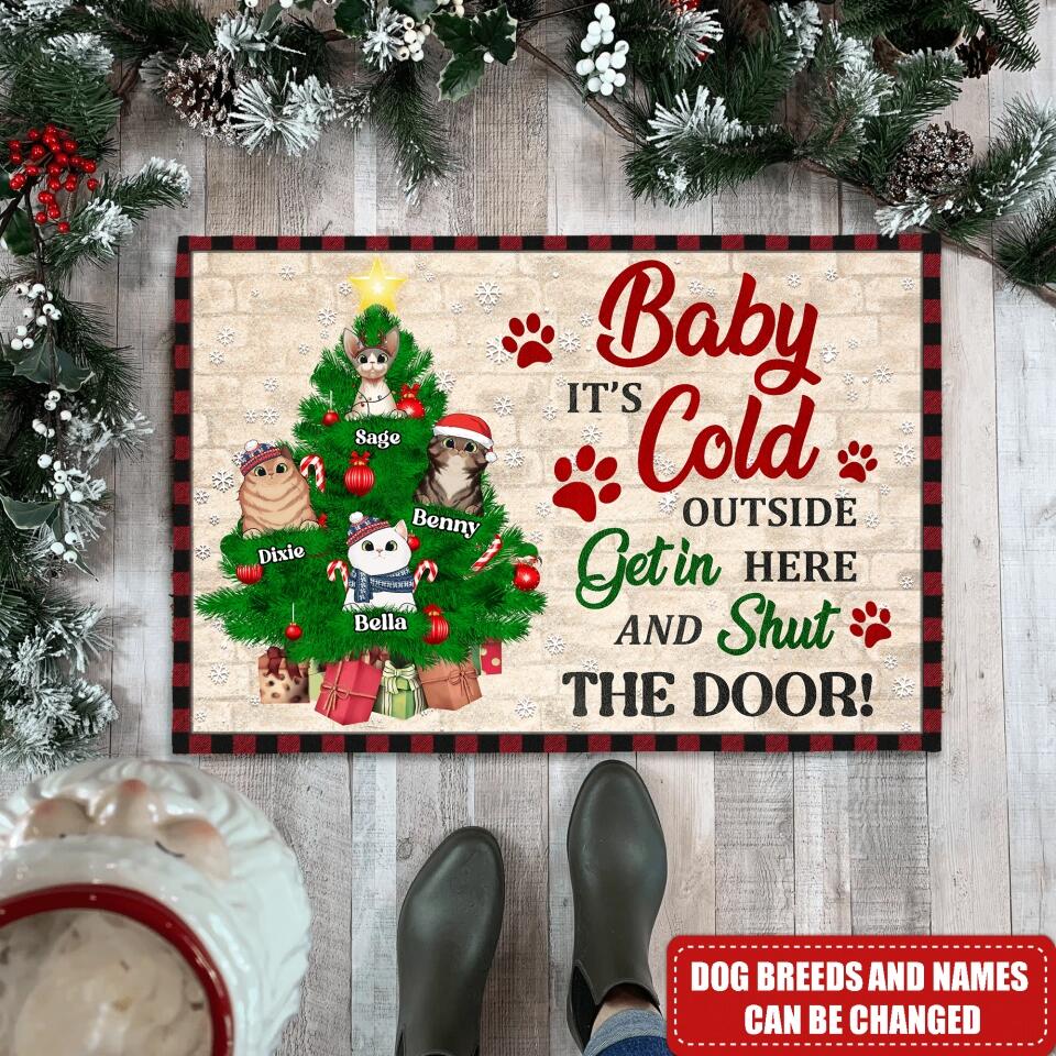 Baby It's Cold Outside Get in HereAnd Shut The Door - Personalized Doormat, Gift For Cat Lover