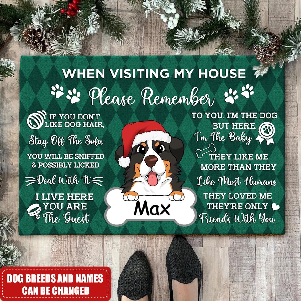 Visiting My House Mat - Gift For Dog Lovers - Dog Rug -Doormat Home Decor - House Rule Rug - Dog Welcome Doormat - Dog Doormat