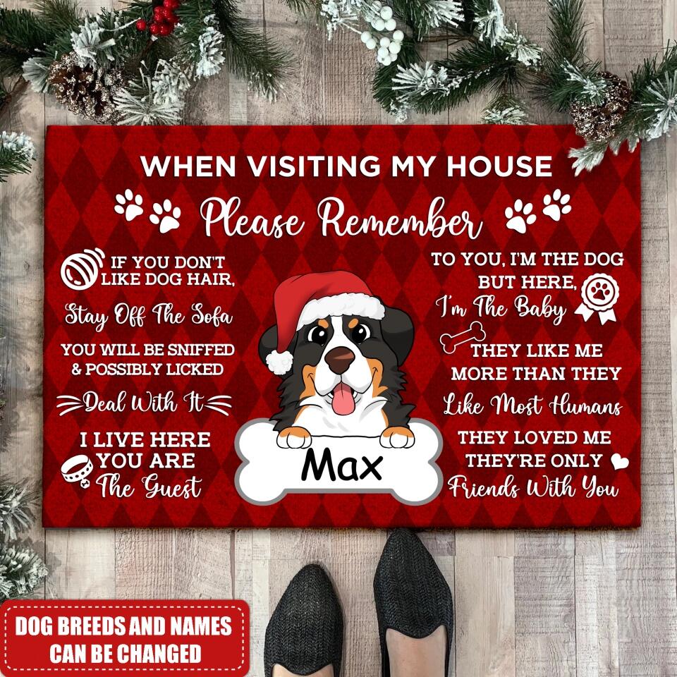Visiting My House Mat - Gift For Dog Lovers - Dog Rug -Doormat Home Decor - House Rule Rug - Dog Welcome Doormat - Dog Doormat