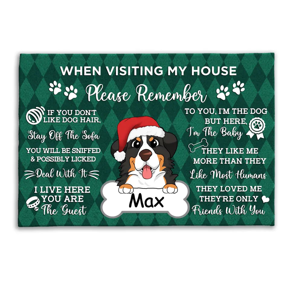 Visiting My House Mat - Gift For Dog Lovers - Dog Rug -Doormat Home Decor - House Rule Rug - Dog Welcome Doormat - Dog Doormat