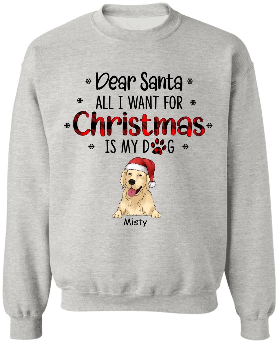 I Believe In Santa Paws - Personalized T-shirt, Gift For Dog Lover