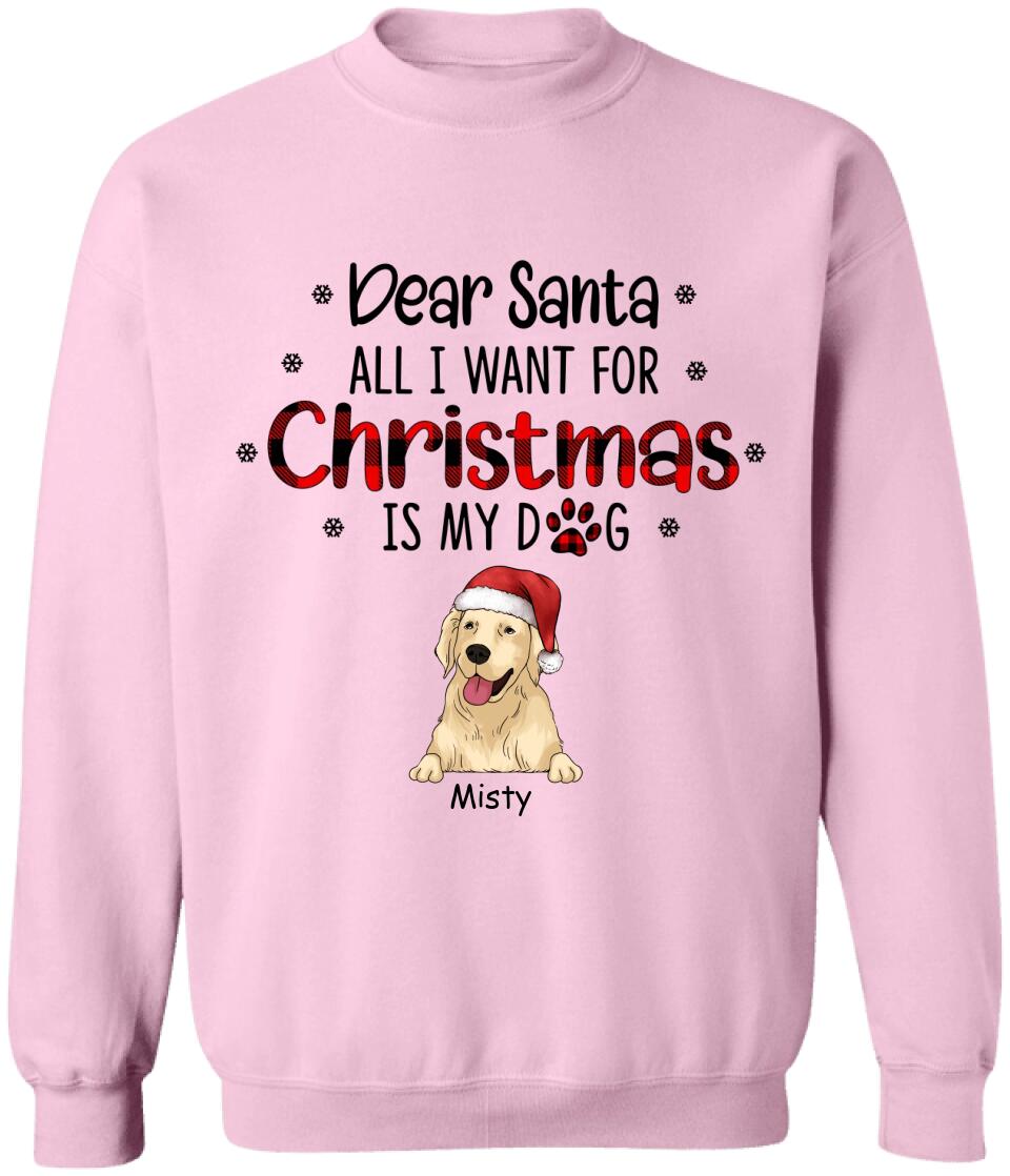 I Believe In Santa Paws - Personalized T-shirt, Gift For Dog Lover