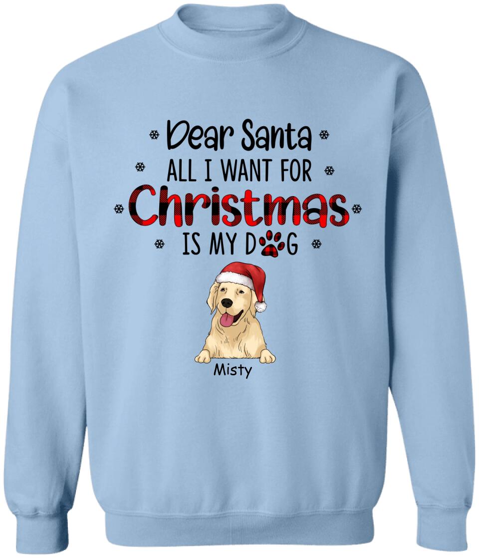 I Believe In Santa Paws - Personalized T-shirt, Gift For Dog Lover
