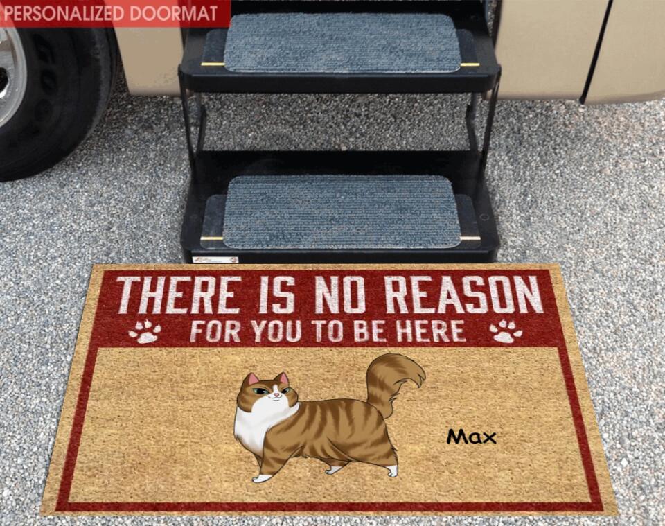 There is No Reason For You To Be Here - Personalized Cat Doormat - Front Door Mat Funny Home Decor - Funny Porch Decor - Welcome Mat