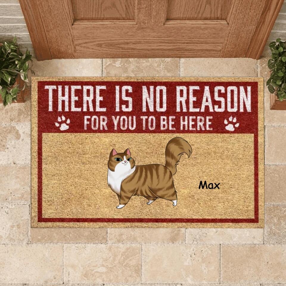 There is No Reason For You To Be Here - Personalized Cat Doormat - Front Door Mat Funny Home Decor - Funny Porch Decor - Welcome Mat