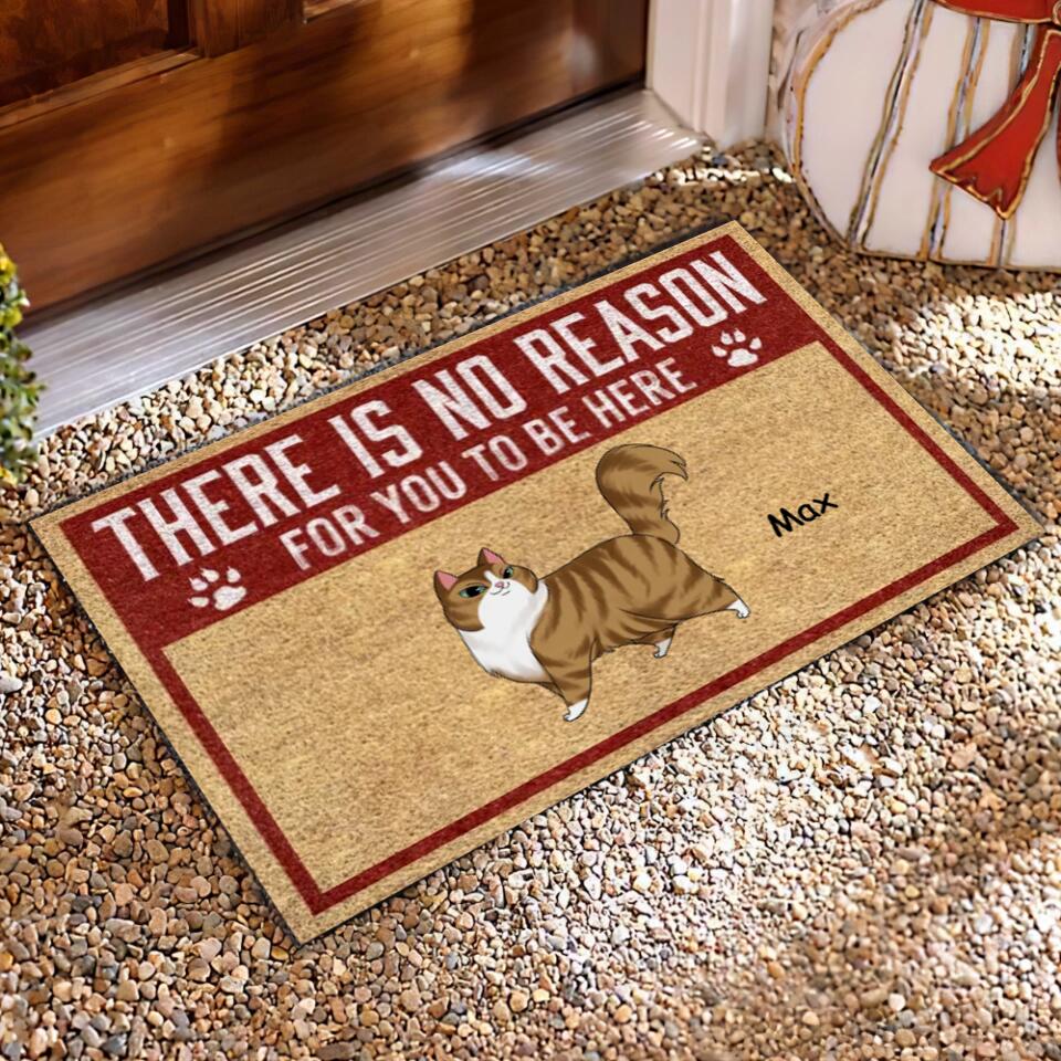 There is No Reason For You To Be Here - Personalized Cat Doormat - Front Door Mat Funny Home Decor - Funny Porch Decor - Welcome Mat