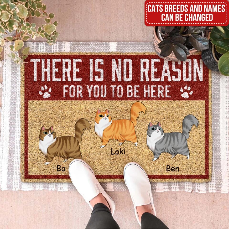 There is No Reason For You To Be Here - Personalized Cat Doormat - Front Door Mat Funny Home Decor - Funny Porch Decor - Welcome Mat