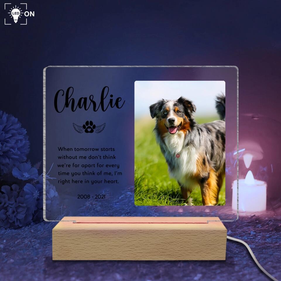 When Tomorrow Starts Without Me - Personalized Acrylic Night Light, Pet Memorial Gift
