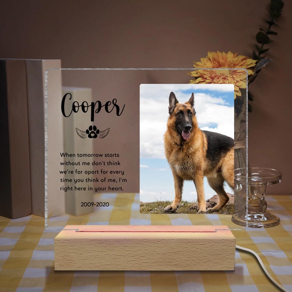 When Tomorrow Starts Without Me - Personalized Acrylic Night Light, Pet Memorial Gift