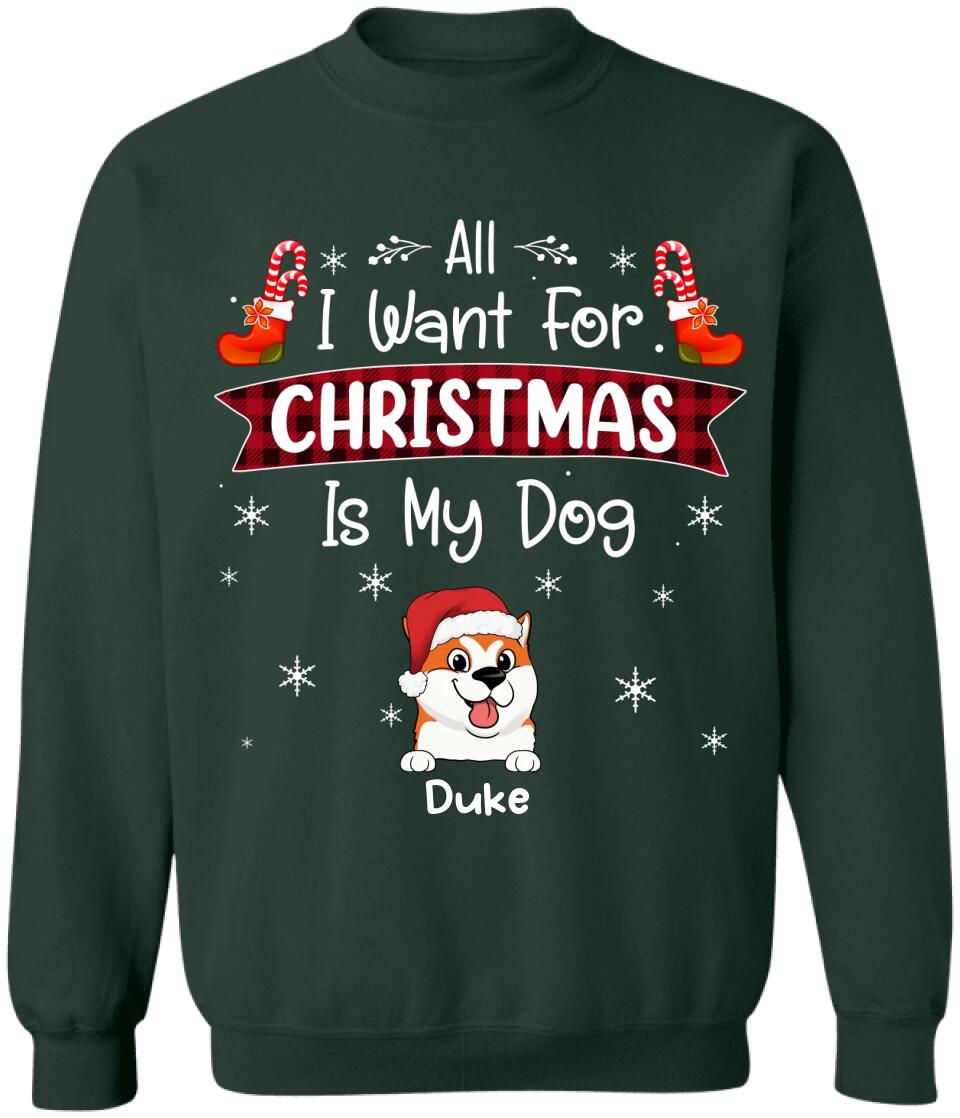 All I Want For Christmas Is My Dog - Personalized T-Shirt, Gift for Dog Lovers