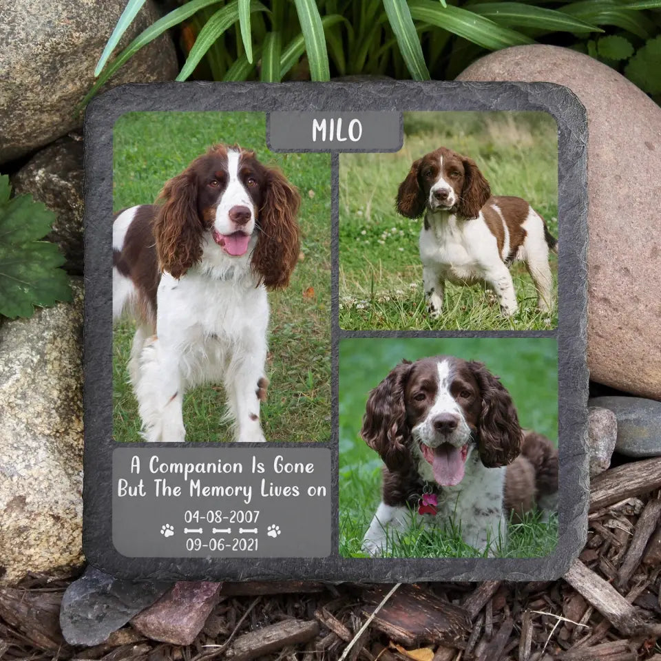 A Companion Is Gone But The Memory Lives On - Personalized Memorial Stone, Gift For Dog Lover