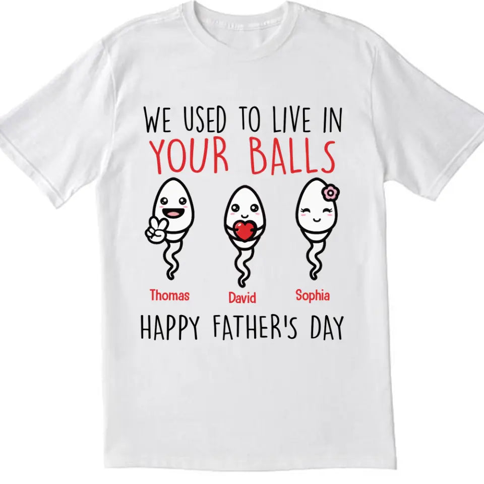 We Use To Live In Your Balls - Personalized T-Shirt, Gift For Father&#39;s Day