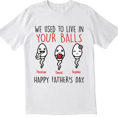 We Use To Live In Your Balls - Personalized T-Shirt, Gift For Father's Day