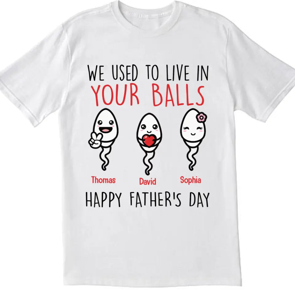 We Use To Live In Your Balls - Personalized T-Shirt, Gift For Father's Day