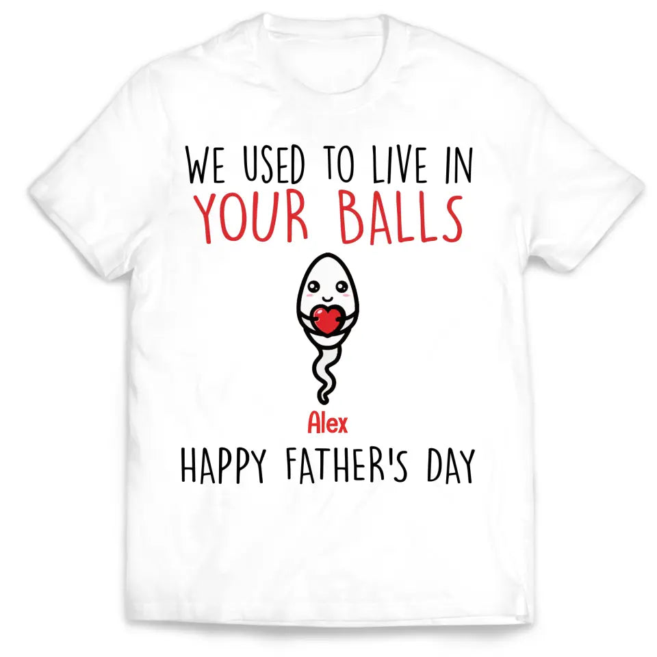 We Use To Live In Your Balls - Personalized T-Shirt, Gift For Father's Day