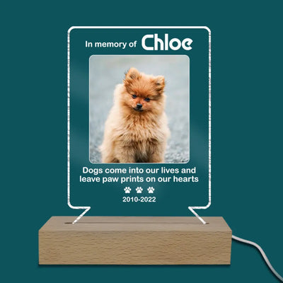 Dogs Come Into Our Lives And Leave Paw Prints On Our Hearts - Personalized Acrylic Lamp, Gift For Dog Lovers