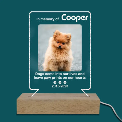 Dogs Come Into Our Lives And Leave Paw Prints On Our Hearts - Personalized Acrylic Lamp, Gift For Dog Lovers